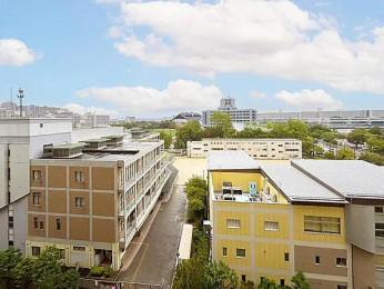 �Z�˂���̒��]�ʐ^�@-