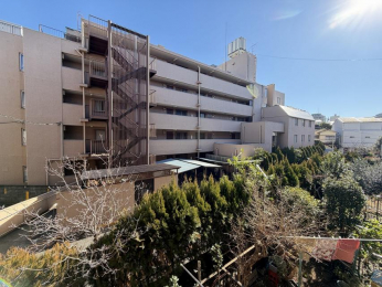 �Z�˂���̒��]�ʐ^�@-