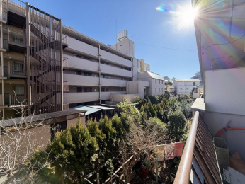 �Z�˂���̒��]�ʐ^�@-