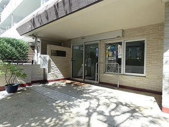 �G���g�����X�@-