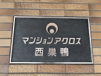 �G���g�����X�@-