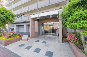 �G���g�����X�@-