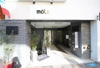 �G���g�����X�@-