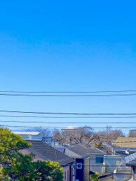 �Z�˂���̒��]�ʐ^�@-