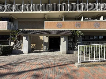 �G���g�����X�@-