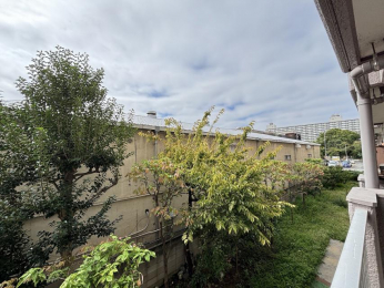 �Z�˂���̒��]�ʐ^�@-