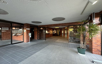 �G���g�����X�@-