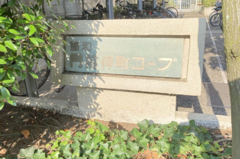 �G���g�����X�@-