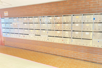 ���̑����p���@���[���{�b�N�X