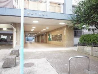 �G���g�����X�@-