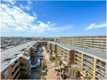 �Z�˂���̒��]�ʐ^�@-