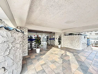 �G���g�����X�@-