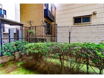 �Z�˂���̒��]�ʐ^�@-