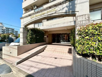 �G���g�����X�@-