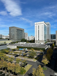 �Z�˂���̒��]�ʐ^�@-