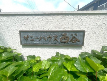 �G���g�����X�@-