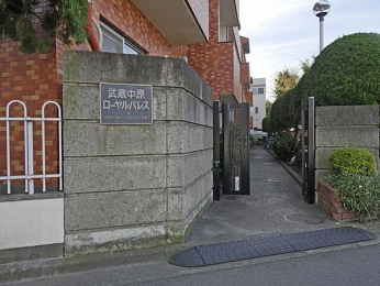 �G���g�����X�@-