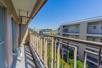 �o���R�j�[�@-